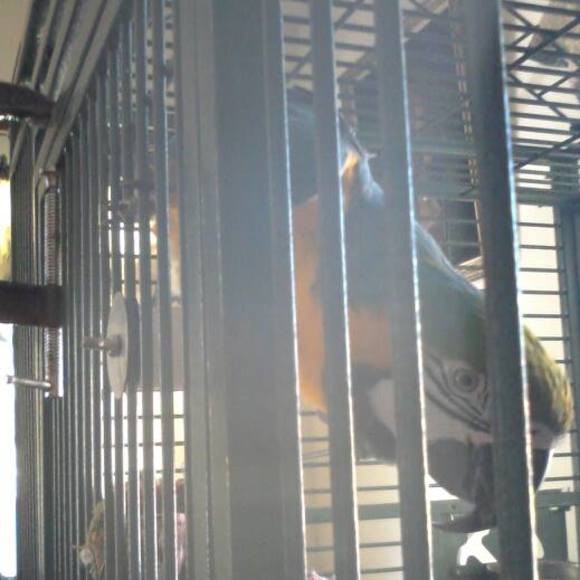 Meet your Posher, Anthony - Picture 1 of 1